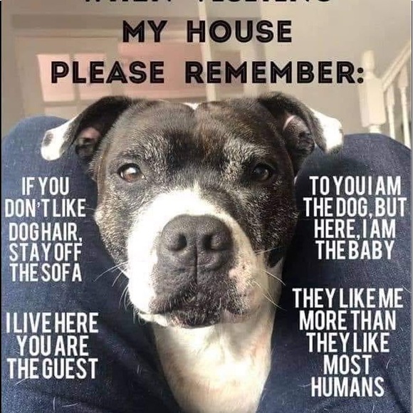 Meet your Posher, Darlene - Picture 3 of 14